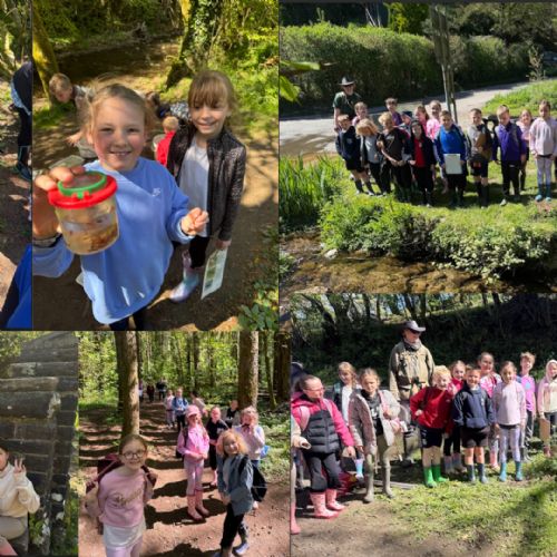 Ilston river trip.